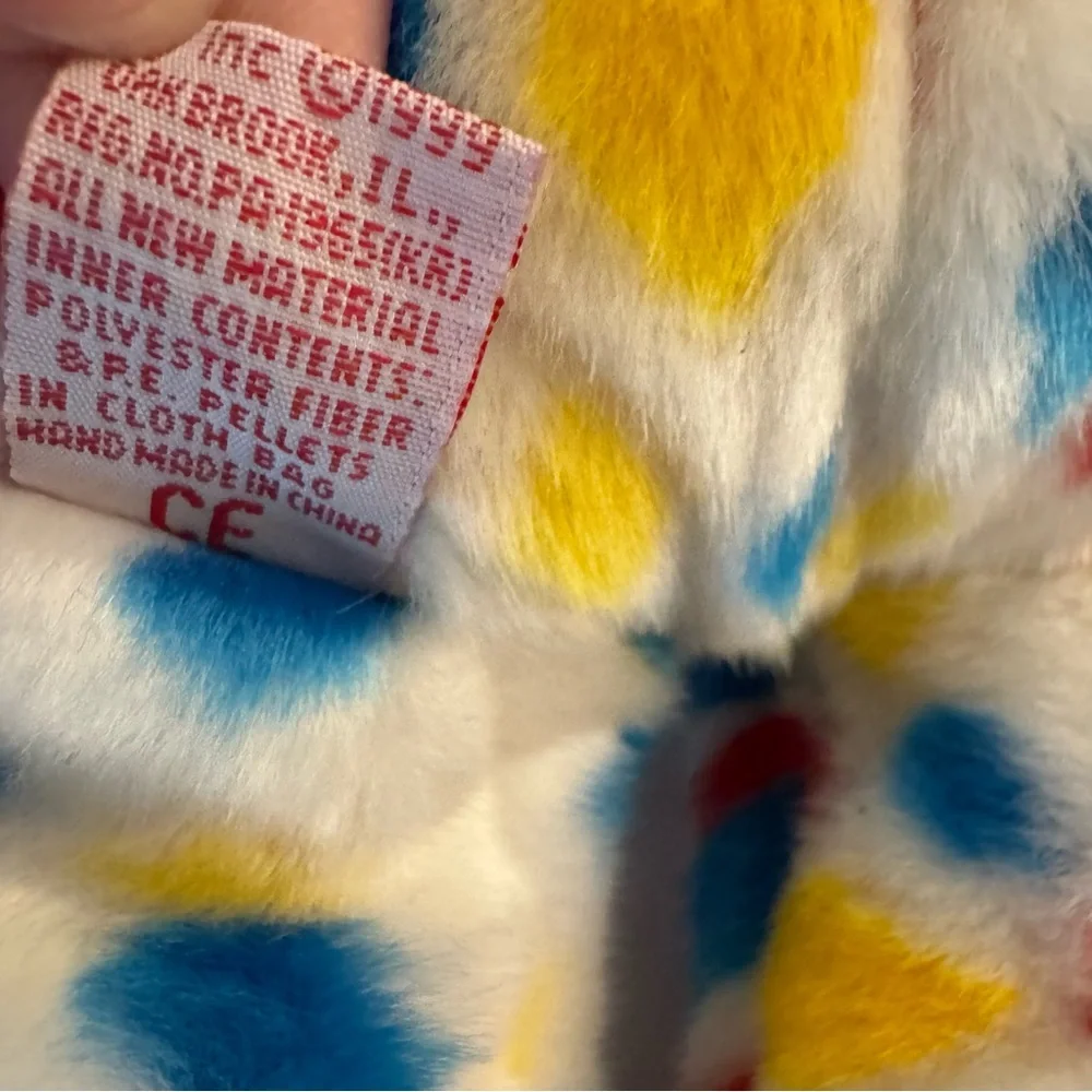 Vintage Ty 2K Multicolor Beanie Baby & Matching Beanie Buddy